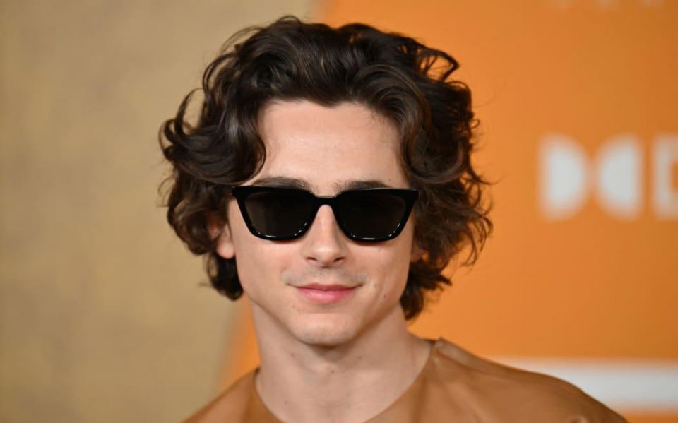 Gen Z's 2024 Sex Symbols: 'Hot Rodents' and 'Short Kings' Explained, Gen Z's 2024 Sex Symbols, 'Hot Rodents' and 'Short Kings' Explained, 'Hot Rodents' , 'Short Kings'